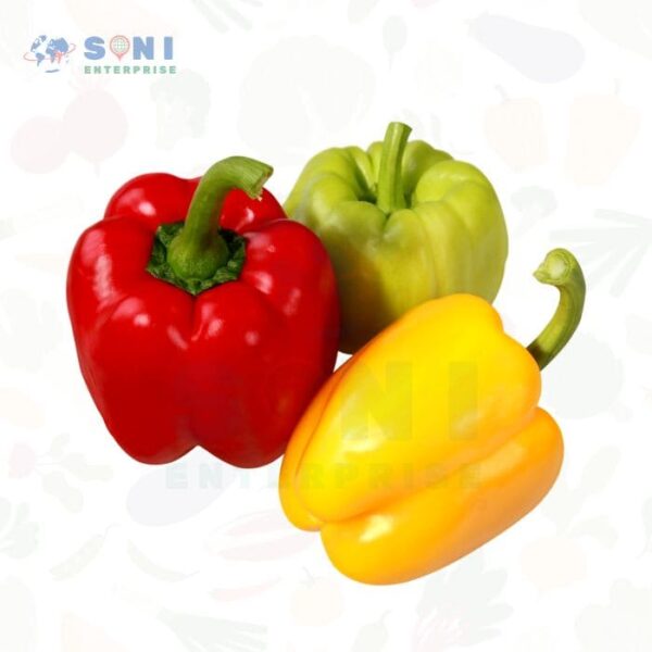 Fresh Bell Peppers (Capsicum)