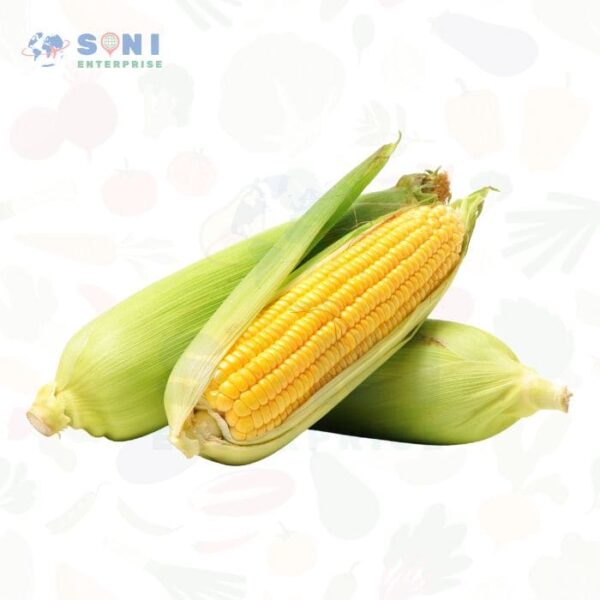 Premium Yellow Corn (Maize)