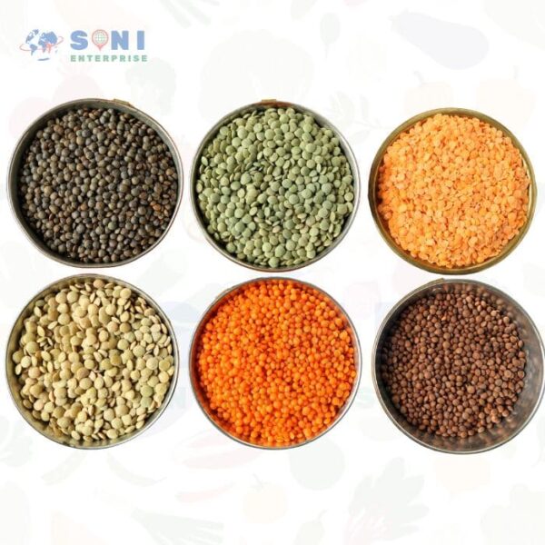 Premium Lentils – Red, Yellow, Green & Black Varieties