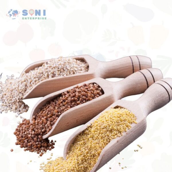 Premium Millet Grains