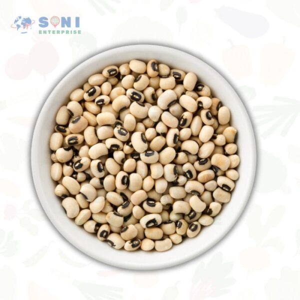 Premium Sorghum (Jowar) Grains