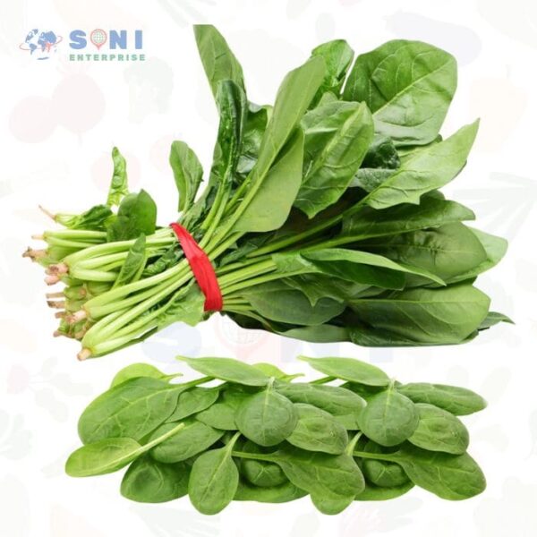 Fresh Spinach (Palak)